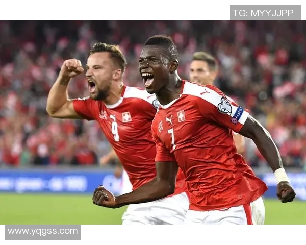 欧洲杯：科索沃队遭遇困境妥协的离场